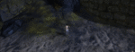QB Trail 3.gif
