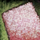 Sheet of Superfine Sandpaper.png