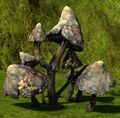 Speed Boost Mushroom as seen in Verdant Brink.