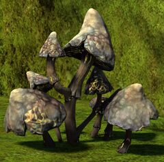 Speed Boost Mushroom.jpg