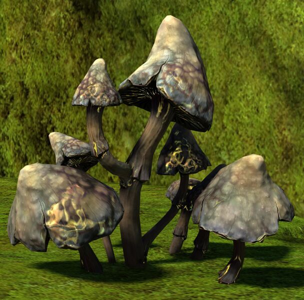 File:Speed Boost Mushroom.jpg