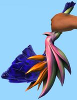 Strelitzia Crystallinum Warhorn.jpg