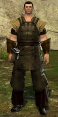 Trader Jed.jpg