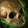 Adam.png