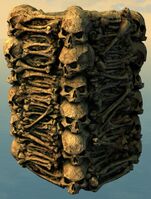 Awakened Bone Column.jpg