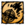 Energized Elements.png