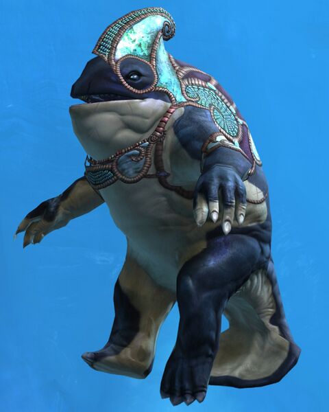 File:Generic Hat 2 Quaggan NPC.jpg