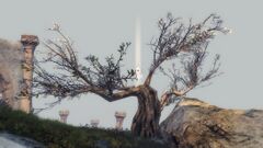 Giant's Bough.jpg