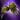 Golden Feather Wings Backpack.png