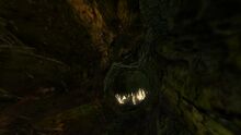 Jungle Log interior.jpg