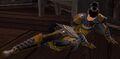 Medic Rosina found injured