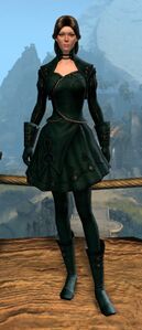 Appearance on light armor.