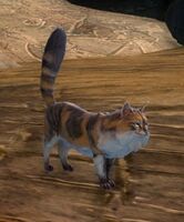 Mini Garenhoff Forest Cat.jpg