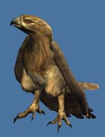 Mini Hawk.jpg