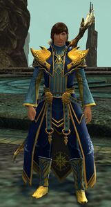 Priest of Dwayna.jpg