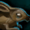 Sam.png