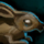 Sam.png