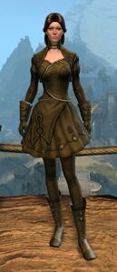 Appearance on light armor.