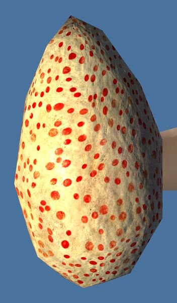 File:Skale Egg.jpg