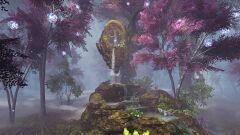 Twin Geysers.jpg