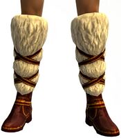 Wintersday Snow Boots.jpg