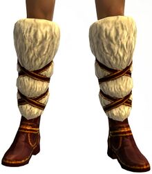 Wintersday Snow Boots.jpg