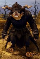 Ash Legion male 2.jpg