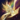Aurene's Weight.png