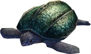 Bestiary Turtle.jpg