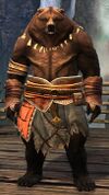 Brown Lowland Kodan (necklace and gloves).jpg