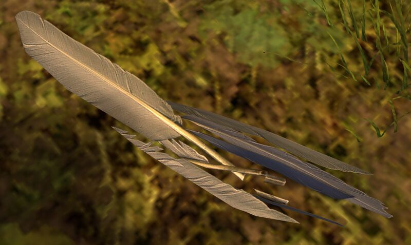 File:Conspicuous Feather Pile.jpg