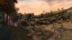 Ebbing Heart Run.jpg