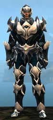 Experimental Envoy armor (heavy) human male front.jpg