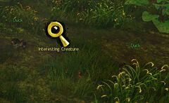 Interesting Creature.jpg