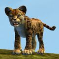 Jungle Stalker Cub.jpg