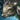 Mini Dolyak Calf.png