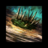 Search.png
