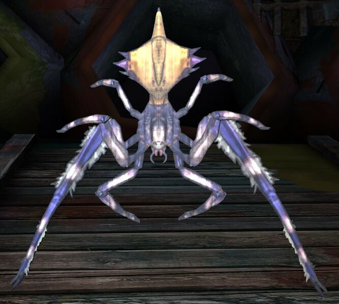 File:Spider Target.jpg