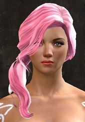 Unique norn female hair front 17.jpg