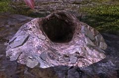 Burrow (object).jpg