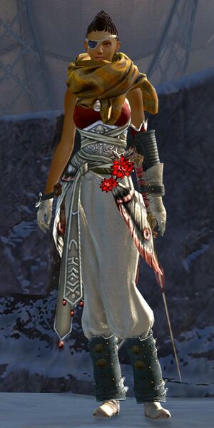 File:Corsair Swashbuckler (female).jpg