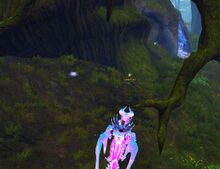 Decayed Cloth Remnants location.jpg