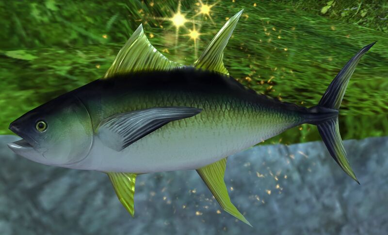 File:Fish (bundle).jpg