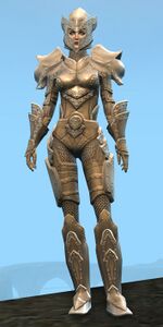 Appearance on heavy armor.