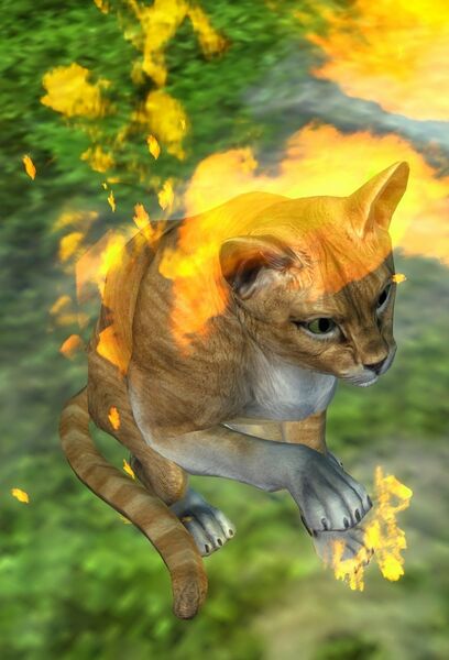 File:G. Fireheart.jpg