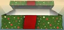 Green Wintersday Gift front.jpg