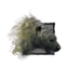 Juvenile Polar Bear.png