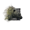 Juvenile Polar Bear.png