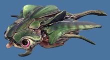 Mini Green Skimmer Pup.jpg