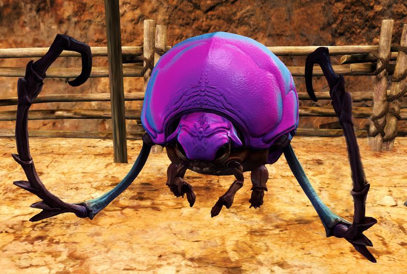 File:Petey.jpg